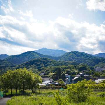 初夏の大山（七沢）